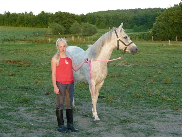 Anden særlig race Dezdeztina *låne Solgt* - kik ikke på mig  billede 4