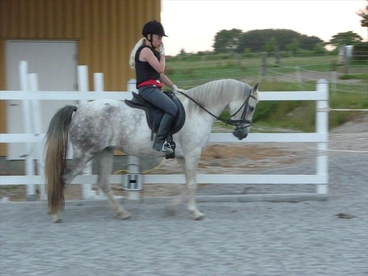 Anden særlig race Dezdeztina *låne Solgt* - læg mærke til hvor lyst der er og hvor mørk det bliver på spring billederne hehe;) billede 8