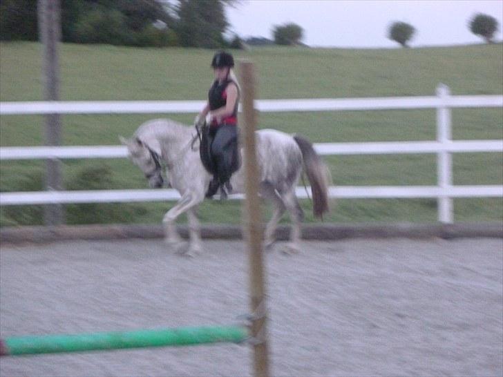 Anden særlig race Dezdeztina *låne Solgt* - meget sløret men synes det er vildt godt vis man kikker på hesten form ;) billede 10