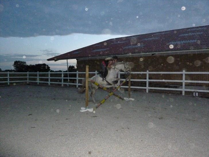 Anden særlig race Dezdeztina *låne Solgt* - se hvor mørkt det er blevet  billede 13