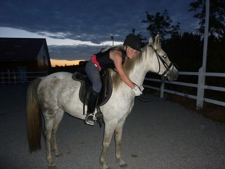 Anden særlig race Dezdeztina *låne Solgt* - mig og dezdeztina billede 14