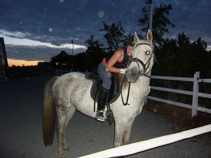 Anden særlig race Dezdeztina *låne Solgt* - dezdeztina super skøn spring pony! billede 15