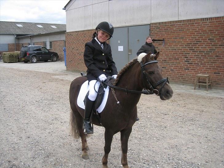 Anden særlig race lucas (himmelhest) - nuurr den er sød var billede 10