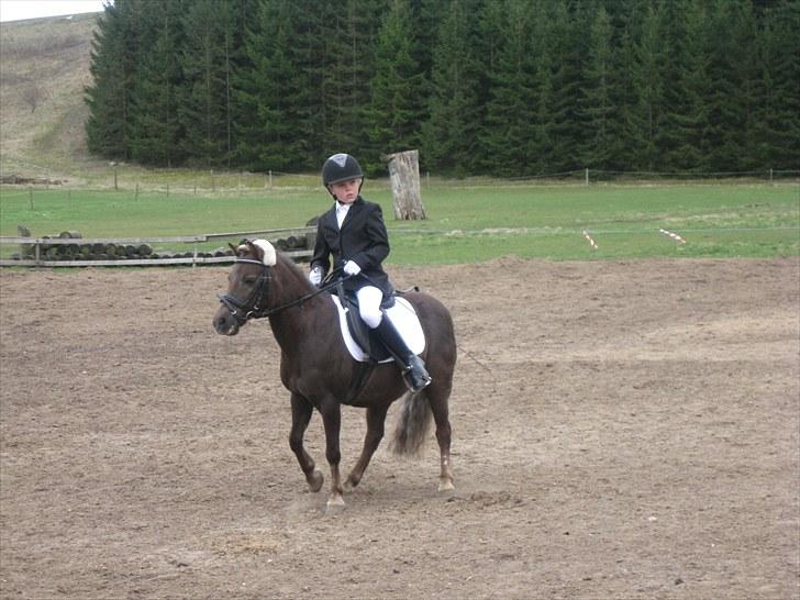 Anden særlig race lucas (himmelhest) - så rider vi lige lidt mere opvarming billede 12