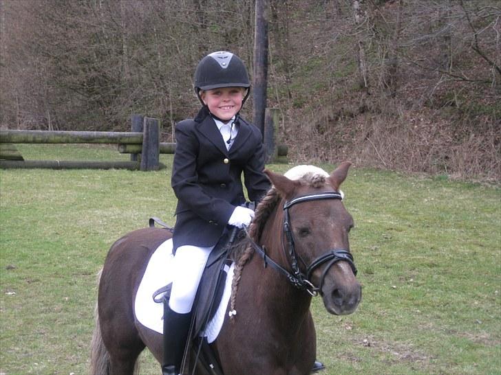 Anden særlig race lucas (himmelhest) - så er vi færdig med pogrammet billede 15