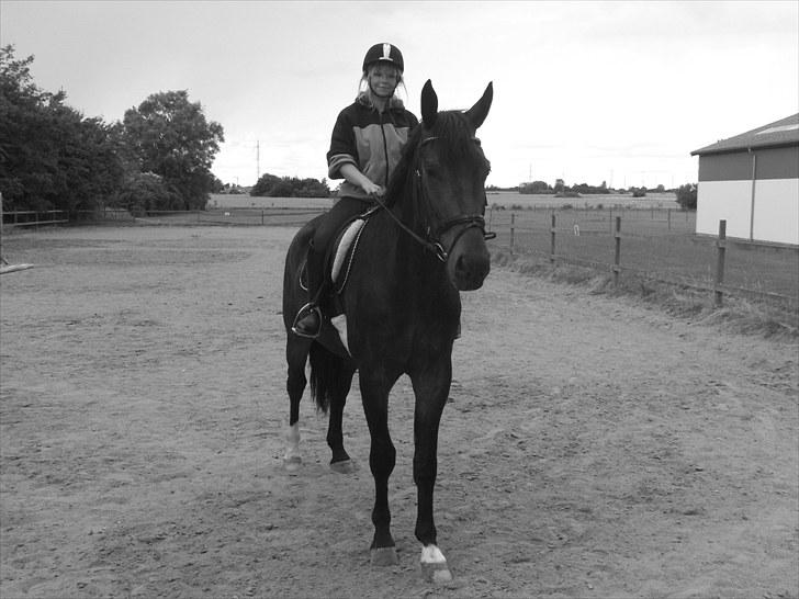 Oldenborg Orion Kikmose - Orion Kikmose efter træning, efter sommer ferien 2010.  billede 13