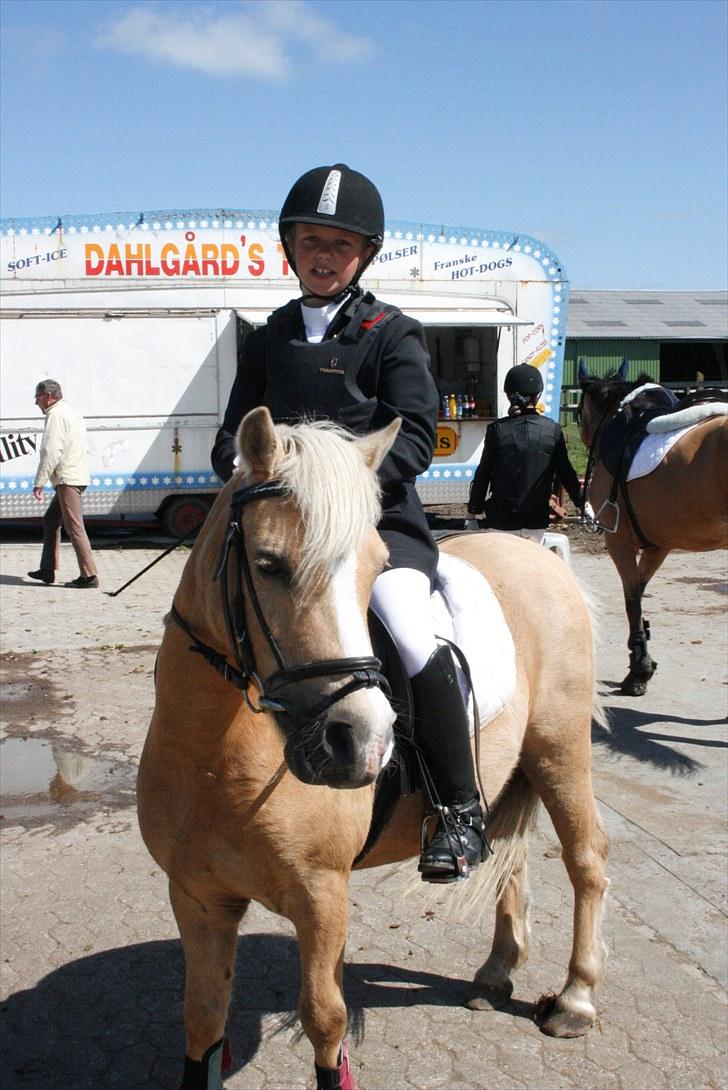 Palomino kosmo  - dine drømme bliver først håbløse den dag du opgiver at følge dem!
<3<3 billede 15