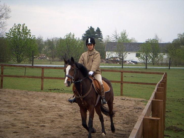 Anden særlig race Maddie "solgt" - Prøve (: billede 2