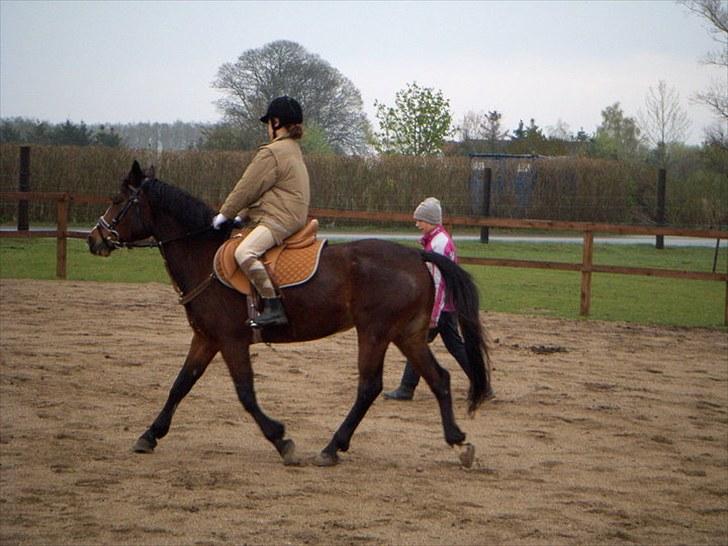 Anden særlig race Maddie "solgt" - Prøve (: billede 3