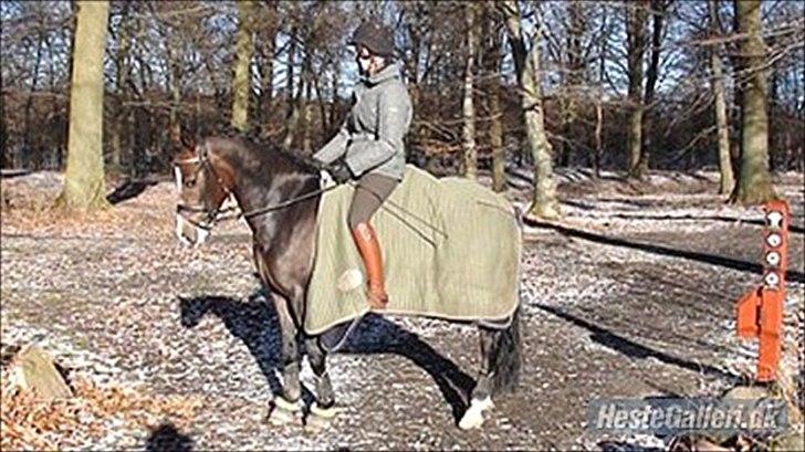 New Forest Romeos Geiger - Geiger og min søster i skoven:-) billede 2