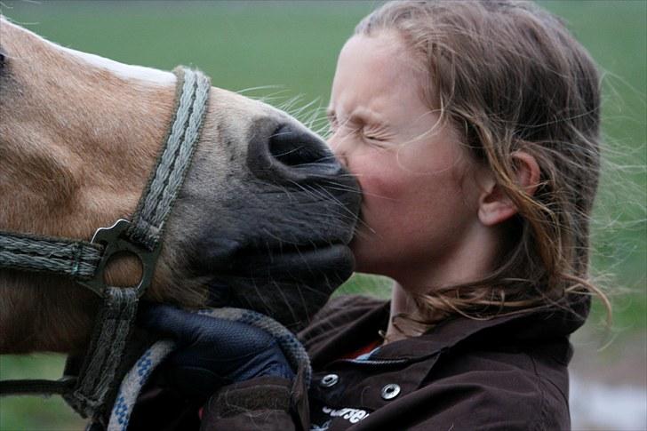 Palomino kosmo  - kosse ener det er du jeg savner dig helt vild meget 
ved du har det godt og det er det vigtigste men elsker og savner jeg dig utro lig meget billede 17