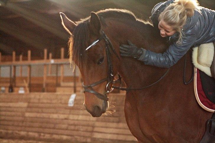 Anden særlig race Shania | R.I.P Savnet! - Klap til min dygtige hest! <3 Fotograf: Louise Pilgaard billede 13