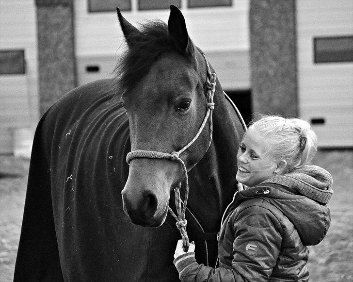 Anden særlig race Shania | R.I.P Savnet! - Jeg elsker dig, du gør mig så glad <3  Fotograf: Nadja Larsen billede 12