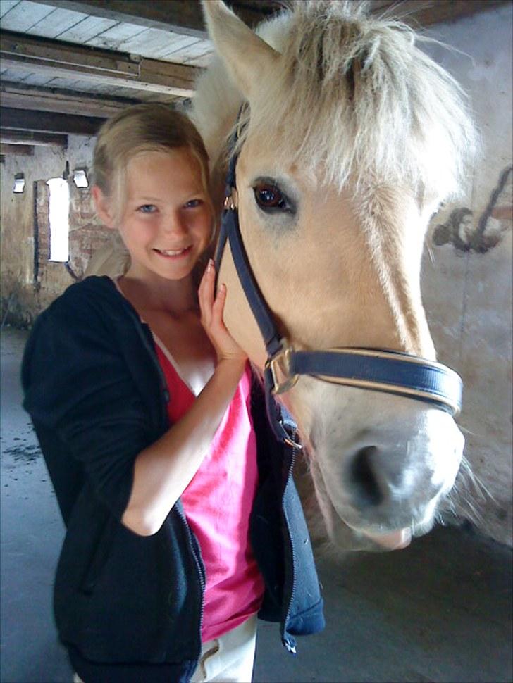 Fjordhest Pyrus <3 /DrømmeHest/ - ´Parret´ <3  billede 14