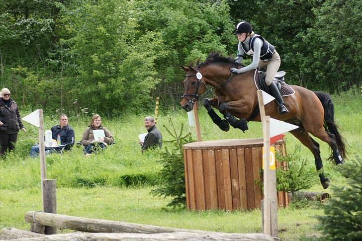 Dansk Varmblod Falypso Bell - Falypso i Næsved 2010 B-stævne - vi blev nr. 4 billede 17