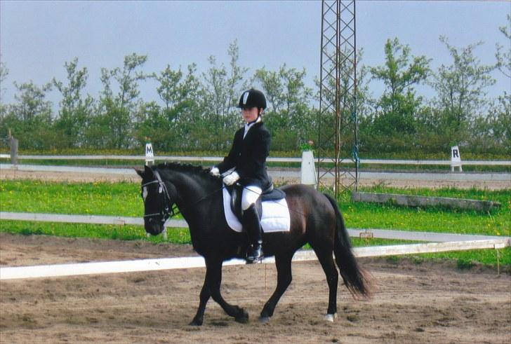 Anden særlig race Asterix;) - Mig og Asterix til udendørs stævne (pinsestævne) :) billede 1