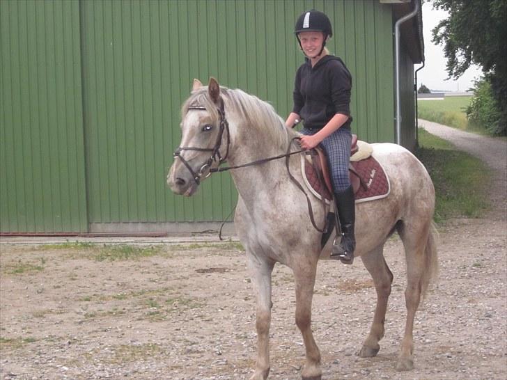 Appaloosa Challenge*Byttet* billede 11