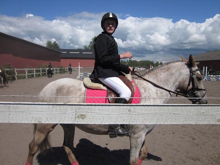 Appaloosa Challenge*Byttet* billede 12