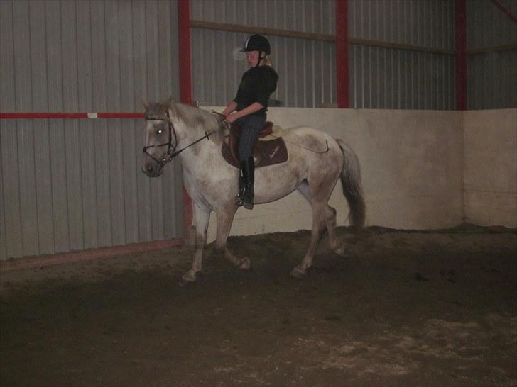 Appaloosa Challenge*Byttet* billede 13