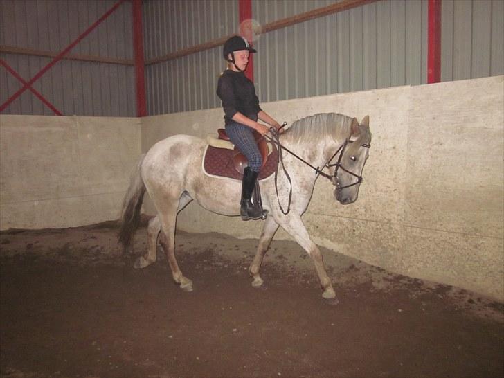 Appaloosa Challenge*Byttet* billede 14