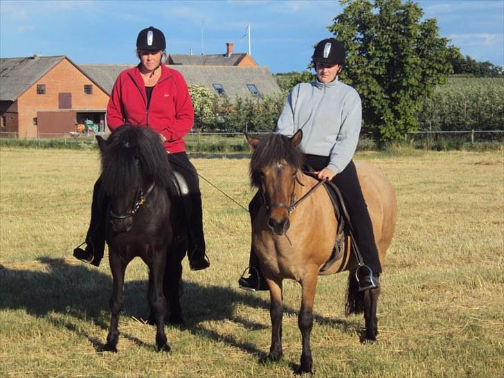 Islænder Hlynir Fra Gl. Essendrup - mor og jeg byttede hest, så hun prøvede hlynir billede 6