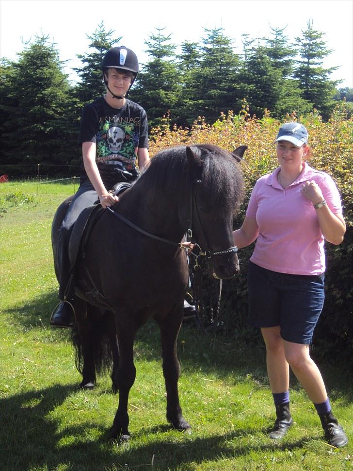 Islænder Hlynir Fra Gl. Essendrup - lillebror får en tur på Hlynir ude på marken billede 7