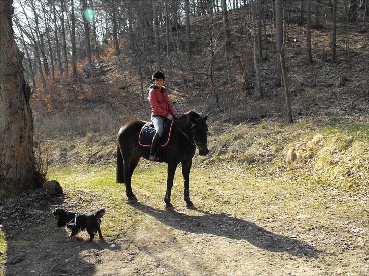 DSP LudingaWickyOililie RIP billede 3