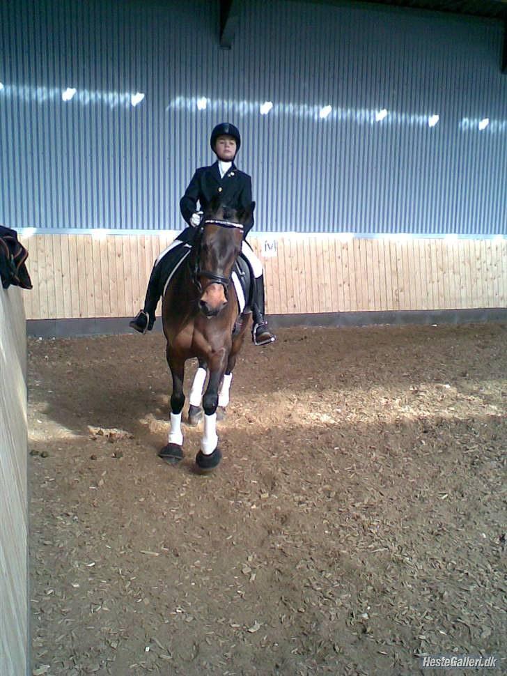 DSP LudingaWickyOililie RIP billede 4