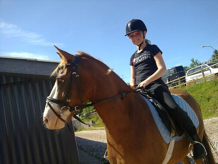 Anden særlig race Stitch billede 3