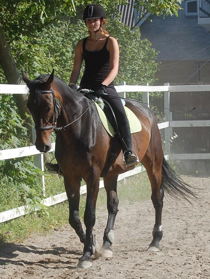 Anden særlig race Banko billede 18