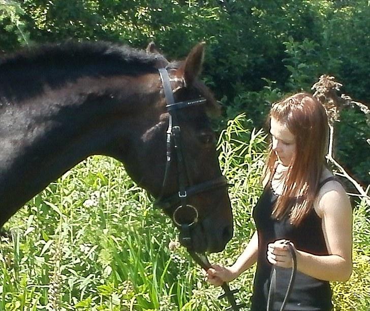 Traver Cyrano "Himmelhest" - Elsker det billed 
Foto: Mor billede 10