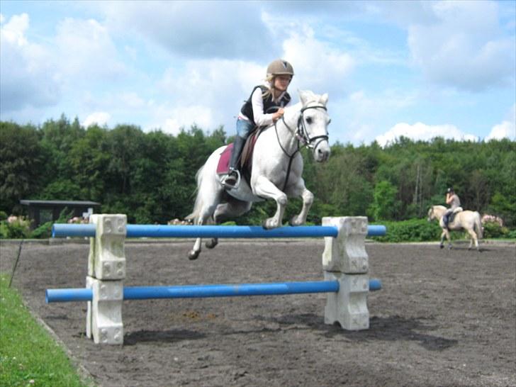 Anden særlig race silva billede 8