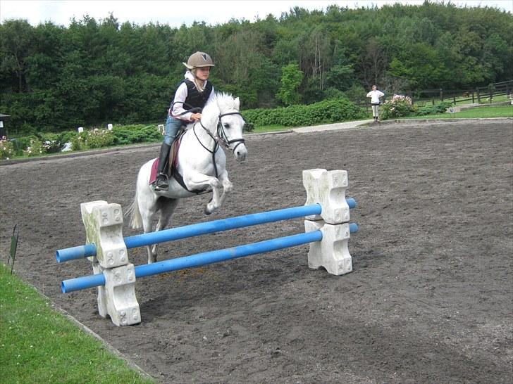 Anden særlig race silva billede 9