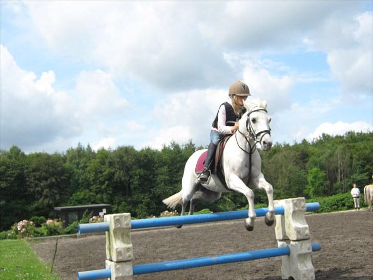 Anden særlig race silva - se hvor jeg springer billede 10