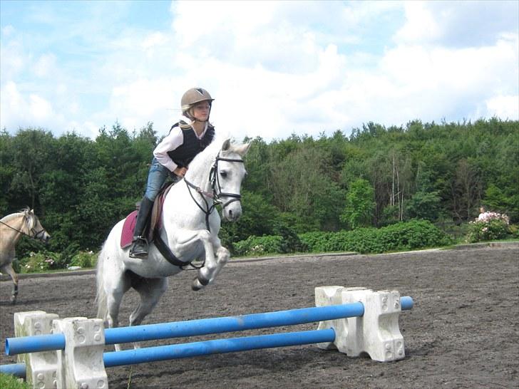 Anden særlig race silva billede 11