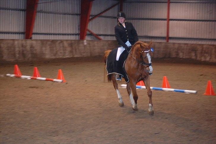 Dansk Varmblod Unique Des Malais - Lc3 Første stævne :) Fik en 2 plads <3<3 Foto: Far!  billede 17