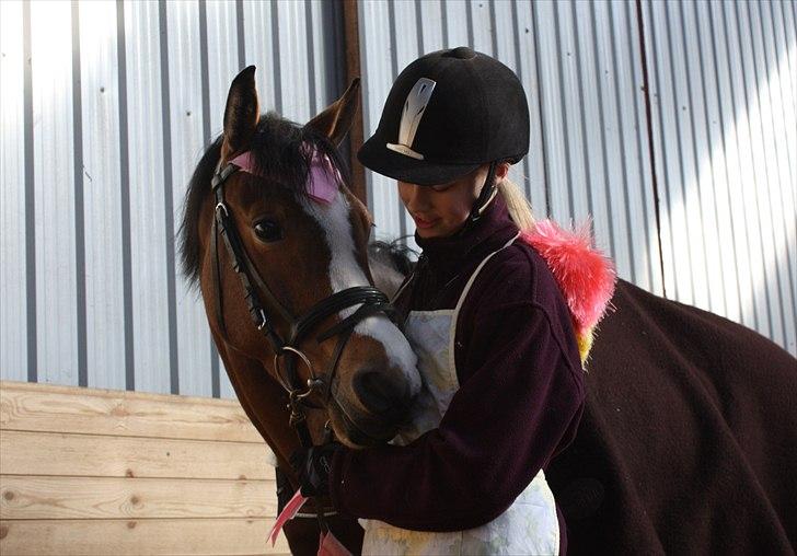 DSP Skovly's Mendoza-Brown ¤Prinsessen¤ - Hvordan er det muligt at være så perfekte som vi er sammen ? ! <3 Mester fotograf: Frans billede 11