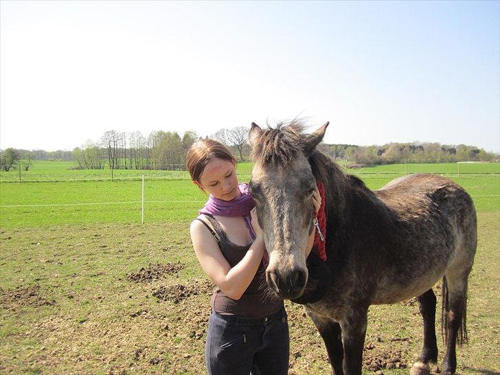 Connemara Goldie - Min lille pige<3<3 April 2011 billede 10