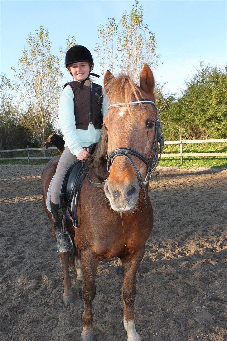 New Forest Simba Grisen <333333 - Billed 12: Elsker det billede! <3 billede 12