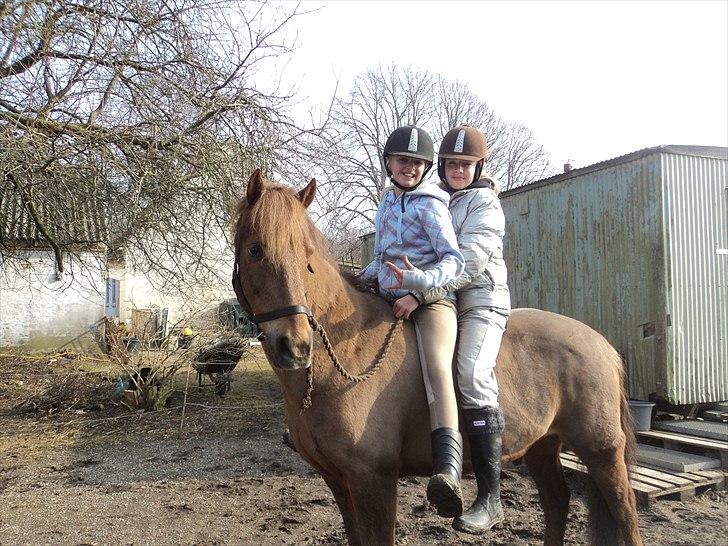 New Forest Simba Grisen <333333 - Billed 14: Du er minnnnnn <3 billede 14