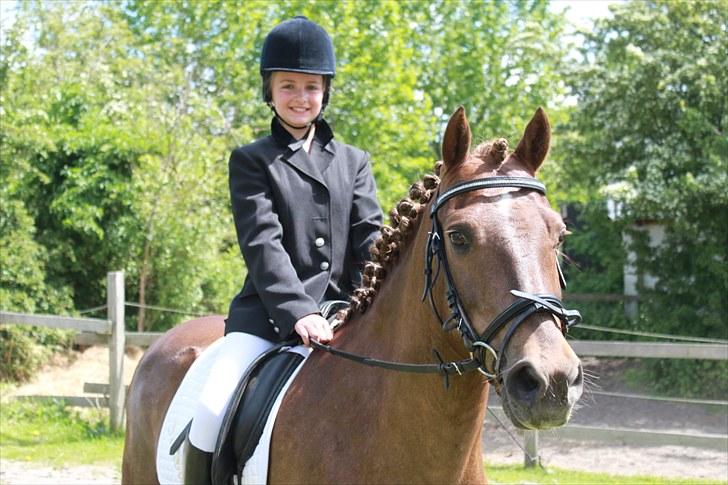 New Forest Simba Grisen <333333 - Til vores første stævne sammen :) Du var så god! billede 16