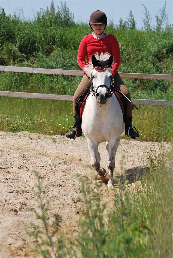 Anden særlig race Lísé<3  - mig og Lise er ude og ride (;<3 jeg ÆÆÆÆÆÆÆÆÆlsker den pony!<3 billede 17