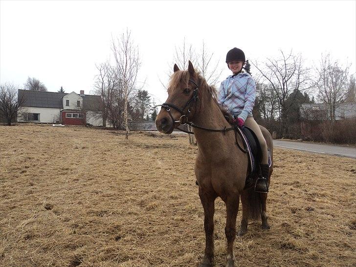 New Forest Simba Grisen <333333 - Kunne man være smukkere? -- NEJ!! :D billede 17