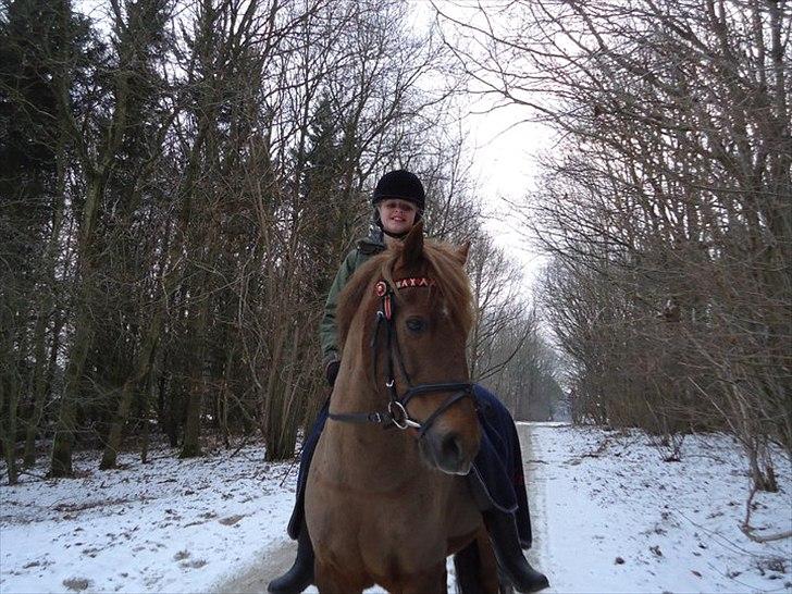 New Forest Simba Grisen <333333 - Tak fordi du ville kigge forbi :) billede 18