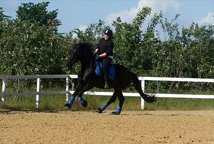 Frieser Tabasko Terplinggaard - en dejlig galoptur :D  billede 15
