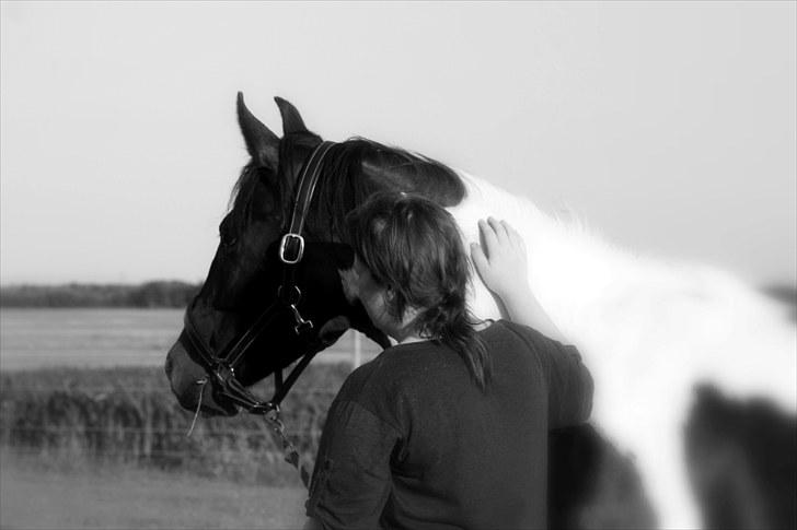 Pinto Jasmin Engbo - du vil altid være i mit hjerte! billede 5