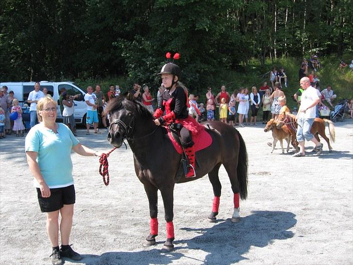 Anden særlig race Lindholms Indi*Solgt* billede 6