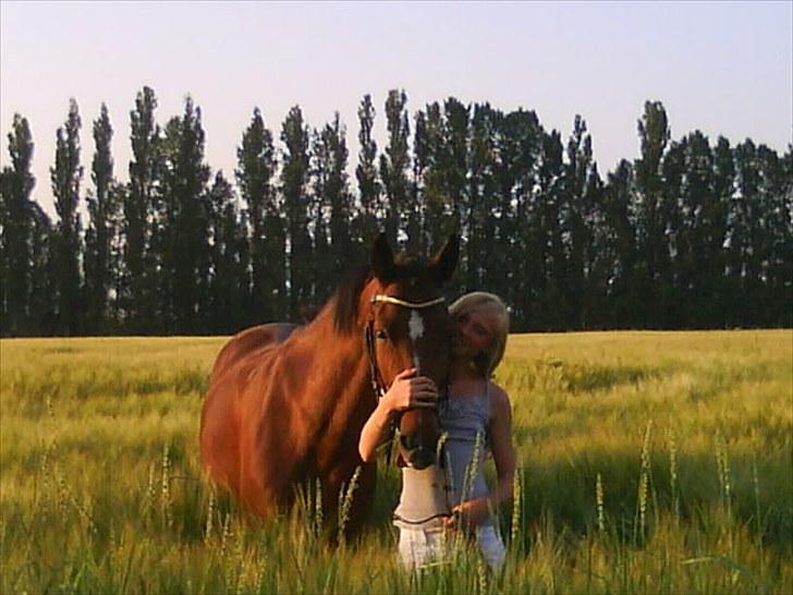 New Forest Orchid's Zaina ½ b pony **SOLGT** - zaina og trine billede 10