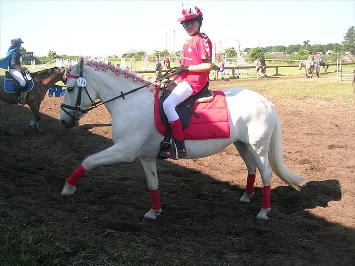 Anden særlig race lady Solgt:'( - se mig jeg vare cikus hest<3<3:) billede 4