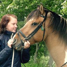 Anden særlig race Tristan ( ´Gammel passer)